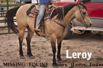 MISSING EQUINE Honey (Leroy Found) Near Antinito, CO, 81120